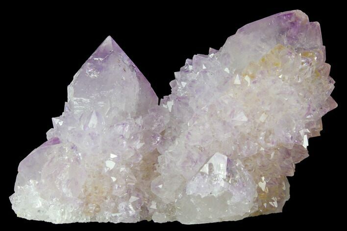 Cactus Quartz (Amethyst) Crystal Cluster - South Africa #132498